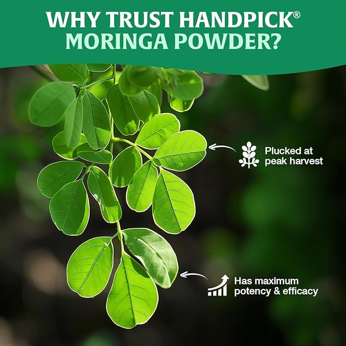 HANDPICK USDA Organic Moringa Powder (397g/14oz) Pure Moringa Oleifera Leaf Powder | Authentic Indian Origin | Gluten Free, Non-GMO | Perfect for Smoothies, Drinks, Tea & Recipes