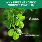 HANDPICK USDA Organic Moringa Powder (397g/14oz) Pure Moringa Oleifera Leaf Powder | Authentic Indian Origin | Gluten Free, Non-GMO | Perfect for Smoothies, Drinks, Tea & Recipes