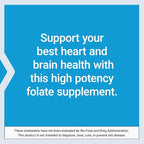 Life Extension High Potency Optimized Folate – L-methylfolate – Folic Acid, 8500 mcg DFE – Heart & Brain Support, Healthy Homocysteine Levels – Gluten-Free, Non-GMO, Vegetarian – 30 Tablets