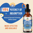 2000MG Liposomal Glutathione Liquid, 98% Absorption, Active Form L-Glutathione Supplement, Vegan Friendly, Powerful Antioxidant Complex for Immune System, Aging Defense, Detox, 2 FL.OZ