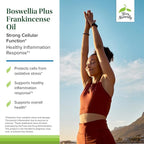 Terry Naturally Boswellia Plus Frankincense Oil - Joint Support Supplement to Support Mobility & Joint Comfort - Support Cellular Health with Boswellia & Frankincense Oil - 60 Softgels