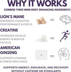 Pre-Workout Supplement - Focus & Performance Stack with Lion’s Mane, Creatine, American Ginseng & Beta-Glucans – Natural Energy & Endurance Without Caffeine - 60 Vegan Capsules
