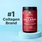 Ancient Nutrition Hydrolyzed Collagen Peptides Powder with Probiotics, Chocolate Multi Collagen Protein for Women and Men with Vitamin C, 40 Servings, Supports Skin and Nails, Gut Health, 16.65oz