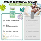 2 Pack Organic Valerian Root Gummies, Natural Calm to Help Relaxation, Herbal Supplement for Mood Support, Melatonin Free, Non-GMO, Gluten Free, Vegan, Green Grape Flavor, 120 Count