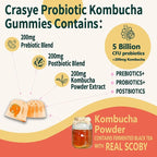 Probiotic Kombucha Gummies Sugar Free Prebiotic Postbiotic Probiotics Gummy for Women and Men Bloating Gut Health Immune and Digestive Support - 60 Gummies - 30 Servings