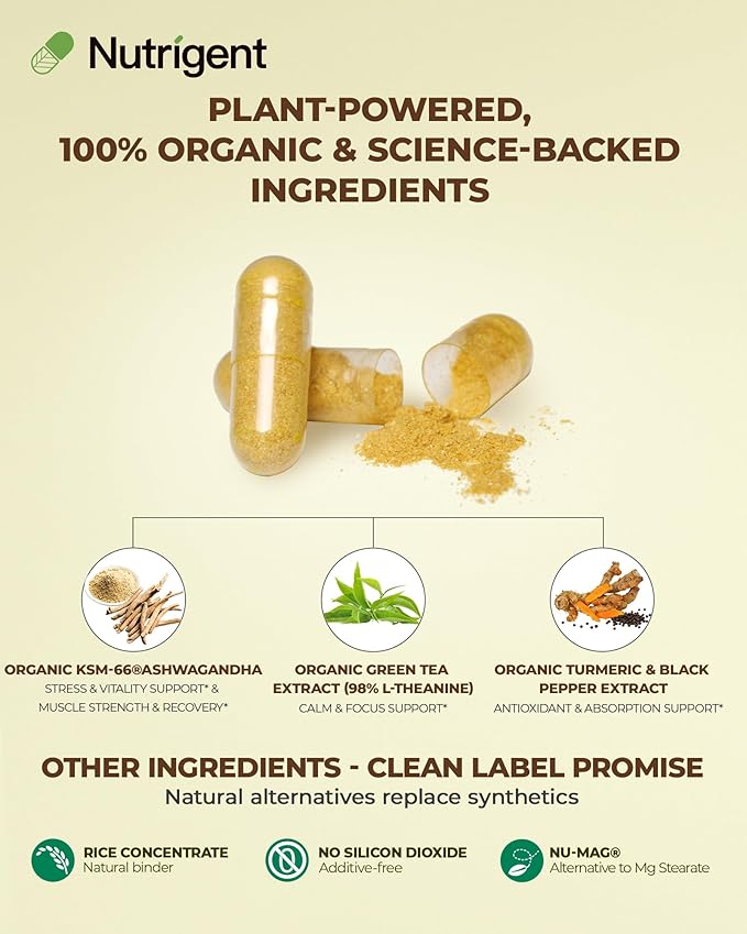 USDA Organic KSM-66 Ashwagandha 600mg with Organic L-Theanine, Turmeric & Black Pepper, Supports Calm, Focus, Relaxation & Overall Well-Being, 60 Capsules
