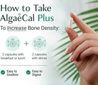 ALGAECAL Organic Red Algae Calcium Supplement for Bone Density & Strength, Vitamin K2 MK7 (100mg), Vitamin D3 (1600 IU), Magnesium (350mg) & Trace Minerals, Easy to Swallow, 120 Veggie Caps, 3 Packs