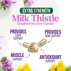 Milk Thistle Extract - Liver Cleanse Detox & Repair Formula - Natural Milk Thistle with Silymarin Marianum & Dandelion Extract - Natural Herbal Liver Health Supplement - Made in USA - 120 Capsules