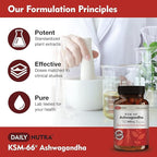 DailyNutra KSM-66 Ashwagandha 600mg Organic Root Extract - High Potency Supplement with 5% Withanolides | Relieves Tiredness, Supports Relaxation, Focus, Energy, & Muscle Growth (60 Capsules)