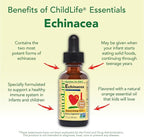 CHILDLIFE ESSENTIALS Echinacea for Kids - Kids Echinacea Drops, Liquid Tincture, Alcohol Free Supplement for Babies, Toddlers, Children - Natural Orange, 1 Fl Oz (Pack of 1)