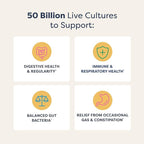 Renew Life Extra Care Digestive Probiotic Capsules, 50 Billion CFU Guaranteed, Daily Supplement Supports Immune, Digestive, Respiratory Health(1), L. Rhamnosus GG, Dairy, Soy and Gluten-Free, 60 Count