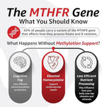 10X Health 5-MTHF Methylfolate - Methylated Folate & Magnesium for Brain, Heart Health, DNA & Neurotransmitter Synthesis - Bioavailable Methyl Folate Supplement - Methylfolate Supplement 60 Capsules