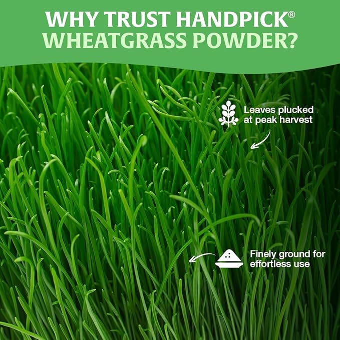 HANDPICK USDA Organic Wheatgrass Powder (10oz) Rich Green Powder - Lab Tested | 100% Whole Leaf | Gluten Free, Non-GMO | No Sugar, No Artificial Ingredients | Resealable Ziplock Pouch
