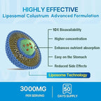Grass-Fed Bovine Colostrum Supplement Powder - 60% High IgG 3000 mg for Gut Health, Immune Support - Easy to Mix Natural Liposomal Colostrum Superfood, Unflavored, 50 Servings