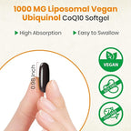 1000mg Liposomal CoQ10 Ubiquinol, 240 Vegan Softgels, High Absorption Ubiquinol CoQ10 Supplement, Active Antioxidant Form of Coenzyme Q10 for Heart Function & Energy Production