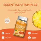 2 Pack Vitamin B2 Gummies, Chewable Riboflavin 400mg Supplement with Magnesium for Adults, Migraine Relief* & Nervous System Support*, Vegan - 120 Counts