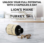 Lion's Mane Supplement Capsules with Turkey Tail for Memory & Focus – 10:1 Mushroom Extract, Brain Fog Support, 1200mg, Third Party Tested, Non-GMO, Vegan, Made in USA, 120 Capsules, 2 Month Supply