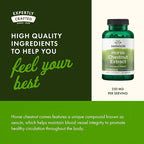 Swanson Horse Chestnut 22% Aescin (Standardized) 250 Milligrams 120 Capsules (2 Pack)