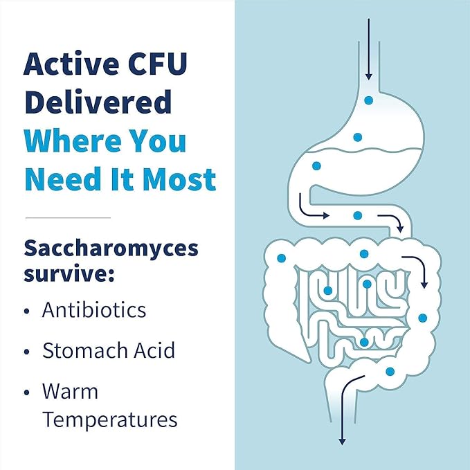 Klaire Labs SFI Health Saccharomyces Boulardii Gut Probiotics for Women & Men - 5 Billion CFU Yeast Probiotics for Digestive Health, Immune Support & Diarrhea Relief (60 ct)