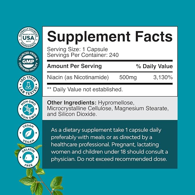 Vitamin B3 Niacinamide 500mg Capsules - Mitochondrial Energy and Potent Skin Supplement - AKA Vitamin B3 Niacin Flush Free and Nicotinamide 500mg - Flush Free Niacin Supplement - 240 Count