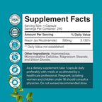 Vitamin B3 Niacinamide 500mg Capsules - Mitochondrial Energy and Potent Skin Supplement - AKA Vitamin B3 Niacin Flush Free and Nicotinamide 500mg - Flush Free Niacin Supplement - 240 Count