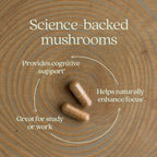 New Chapter Lion's Mane + Reishi Mushroom - LifeShield Mind Force for Mental Clarity with Organic Reishi Mushroom + Vegan + Non-GMO, Nootropic Ingredients - 60 ct