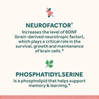 NEURIVA Original Decaffeinated Clinically Tested Nootropic Brain Supplement for Memory,Focus & Concentration,NeuroFactor & Phosphatidylserine,28ct Capsules,(Pack of 2)