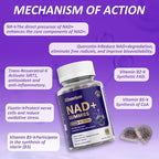 NAD Gummies with Nicotinamide Riboside, NAD+ Supplement for Women & Men with Trans-Resveratrol, Fisetin, Vitamin B2, B5, B6, Anti-Aging, Cell Regeneration & Energy, Sugar-Free, 60 Gummies