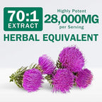 NYO3 Milk Thistle Extract 400mg, Liver Cleanse Detox & Repair Dietary Supplement for Liver Health, 60 Capsules Herbal Health Supplement, Antioxidant Support