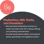 Allergy Research Group Milk Thistle Plus Supplement - Liver Health Support, Milk Thistle, Dandelion, Detox, Cleanse, Vegetarian Capsules - 120 Count