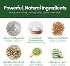 Core Correct Gut Health Powder - Formulated with L-Alanyl-L-Glutamine for Better Absorption and Healthy Intestinal Function