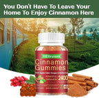 Cinnamon Supplements, Premium Ceylon Cinnamon Gummies 2400mg with Berberine, Turmeric, Apple Cider Vinegar, Bitter Melon, Chromium - Vegan, Non-GMO丨60 Counts