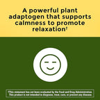 Nature Made Ashwagandha Capsules 125mg for Stress Support, Ashwagandha Supplements, 60 Capsules, 60 Day Supply