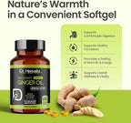 Dr. HERBALIST Ginger Oil Capsules 1600mg - Cold Pressed Zingiber Officinale with Gingerols & Shogaols | Supports Digestive Comfort & Joint Wellness* | Halal | 60ct