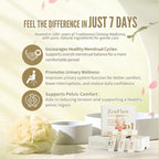ZenFlow, PMS and Menstrual Support, TCM, Dong Quai, Promote Healthy Uterus, Kideny and Bladder, Promote Urogenital Function, Women's Health, (32 Packets - 1 Box)