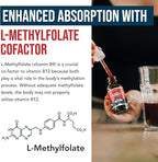 BioActive Vitamin B12 1000 mcg | Contains 3 BioActive Forms B12 Plus Methylfolate Cofactor - Methyl B12, Adenosyl B12 & Hydroxy B12 | Sublingual Form, Cherry Flavor, Organic, Vegan (180 Servings)