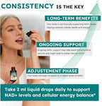 NMN Supplement Liquid Drops,4-in-1 NMN Beta 1000mg w. Quercetin TMG Resveratrol for Anti Aging Energy & Immune Support, NMNH Alternative Liposomal High Absorption for Women Men