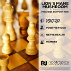 Nootropics Depot Lions Mane Mushroom Capsules | 8:1 Whole Fruiting Body Dual Extract | 500mg | 60 Count | Hericium erinaceus