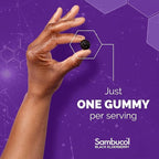 Sambucol Black Elderberry Gummies for Kids - Elderberry Gummies with Zinc and Vitamin C, Chewable Supplement for Kids, Low Sugar, Berry Flavor - 30 Count