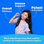 Feel Great Kids Elderberry Gummies with Zinc and Vitamin C | Immune Support Sambucus Elderberry | Berry Flavored Vegan Kids Multivitamins | 60 Day Supply
