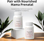 Nourished Natural Health ProbIron - Women's Probiotic + Iron Supplement Boosted with Vitamin C and Copper - Vegan Formula for Energy and Digestive Wellness - 90 Capsules