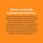 PURALITY HEALTH Curcumin Gold, from Turmeric with Ginger Oil & DHA Omega-3s, Micelle Liposomal Enhanced Absorption, Joint Health, 15 Day Supply