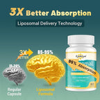Liposomal Luteolin 200mg – Luteolin Supplement & Brain Supplement for Memory and Focus with Apigenin & L-Theanine – Non-GMO, Gluten-Free, 60 Softgels