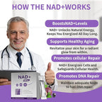 NAD+ Supplement 1000mg Liquid Packets, Nicotinamide Riboside, Trans-Resveratrol, PQQ & Quercetin Complex for Cellular Energy & Healthy Aging Support - 2 Flavors (30 Count)