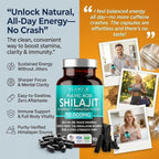 Pure Himalayan Shilajit Capsules - 10,000mg Maximum Potency | Fulvic Acid + 85 Trace Minerals | Energy Boost, Immune Support, Cognitive Function | 90 Veggie Pills for Men & Women