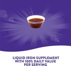 Nature's Way Liquid Iron, Provides Daily Value of Iron, Sugar Free, Berry Flavored, 16 Fl. Oz. (Pack of 2)
