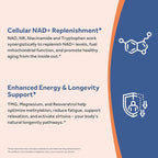 Doctor's Recipes NAD Supplement, Nicotinamide Riboside, Resveratrol, NMN Alternative for Anti-Aging, w/Magnesium Glycinate & L-Tryptophan, 650mg Per Serving, Energy & Mood Boost, 120 Vegan Capsules