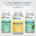 SOLARAY Betaine HCL with Pepsin - High Potency Hydrochloric Acid Formula - Digestive Health Supplement with Digestive Enzymes for Gut Health Support - 60-Day Guarantee, 250 Servings, 250 VegCaps