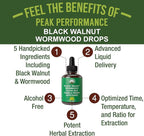 Wormwood Black Walnut Clove Cleanse for Humans. Elimination Detox + Intestinal Support Liquid Tincture Supplement for Adults and Kids. with Artichoke and Chanca Piedra for Additional Benefits