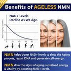 NMN Supplement 500mg Nicotinamide Mononucleotide | Supports NAD+ Levels, Energy, Cognitive Function, Muscle Health & Healthy Body Composition – Capsules (30)